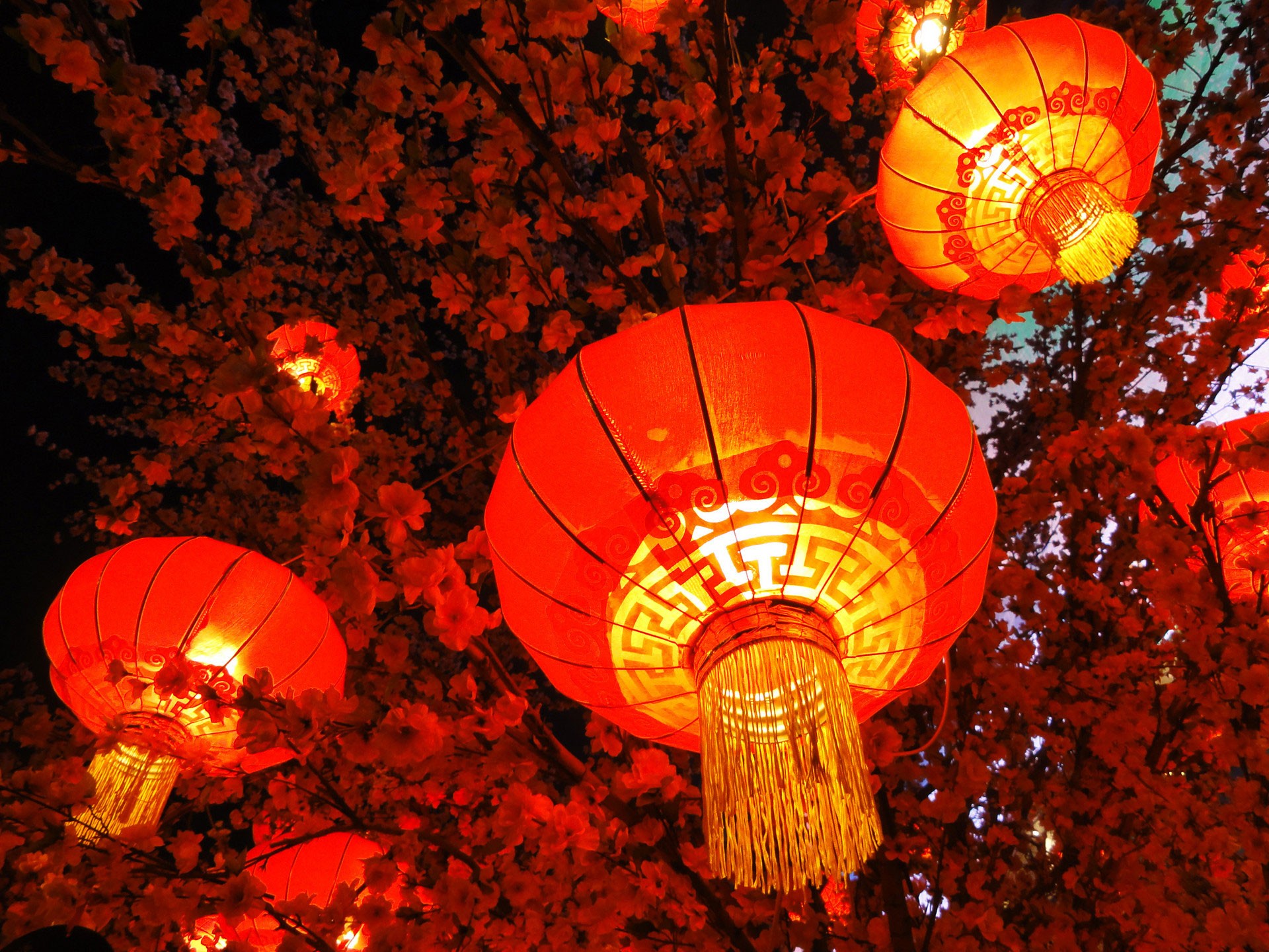 秦開電氣設(shè)備恭祝全國(guó)人民新年快樂！